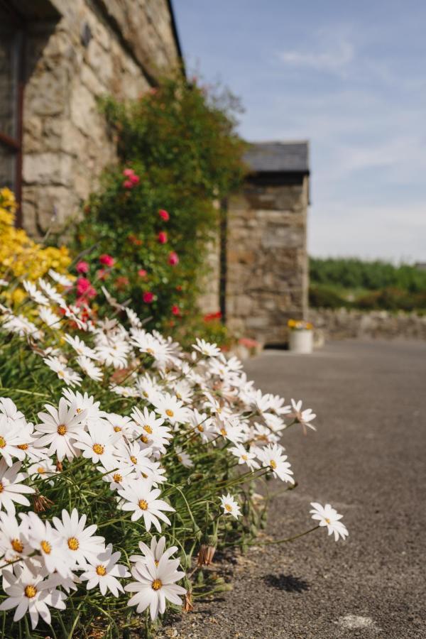 Creevy Cottages Rossnowlagh Exterior photo