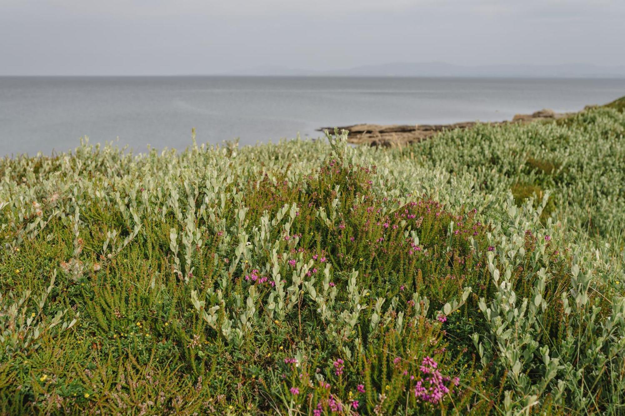 Creevy Cottages Rossnowlagh Exterior photo