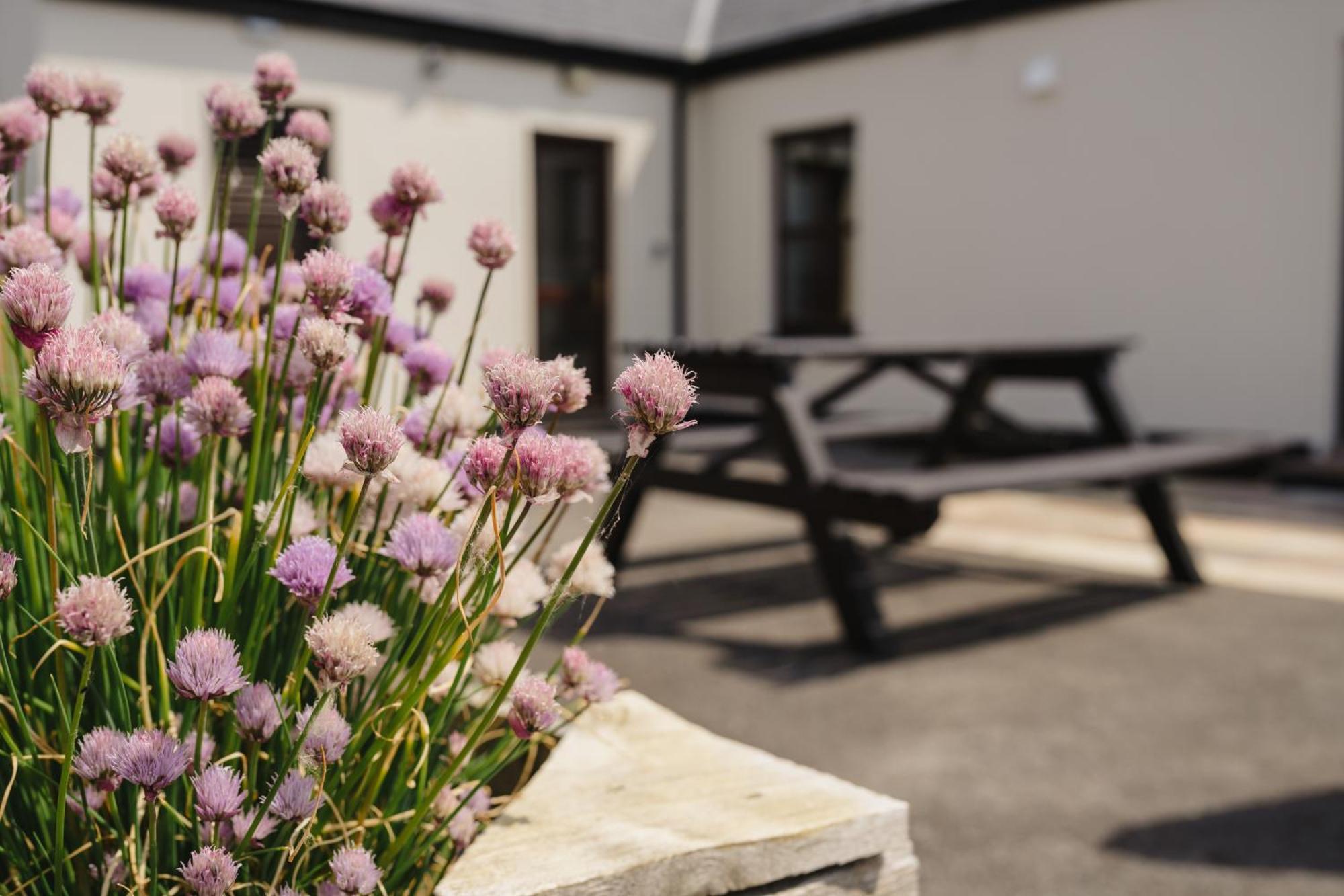 Creevy Cottages Rossnowlagh Exterior photo